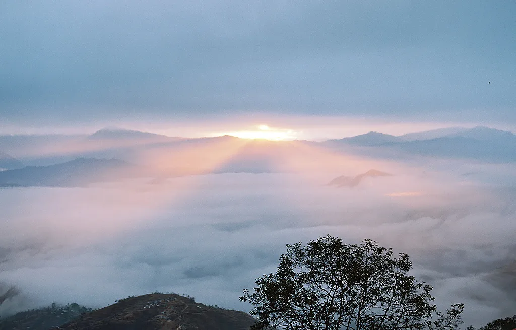 The Pursuit of My Father's Presence