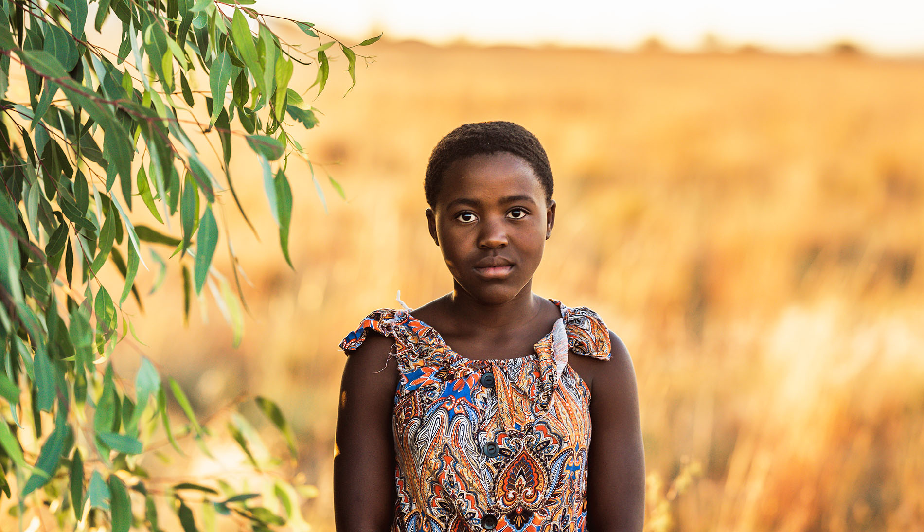 Breaking Stories from the Field: July Update 2021